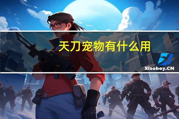 天刀宠物有什么用