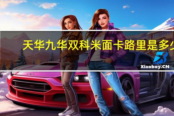 天华 九华双科米面卡路里是多少