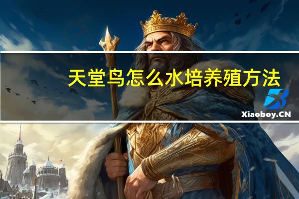 天堂鸟怎么水培养殖方法
