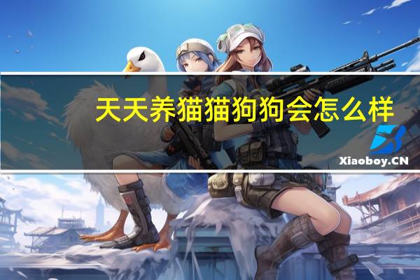 天天养猫猫狗狗会怎么样