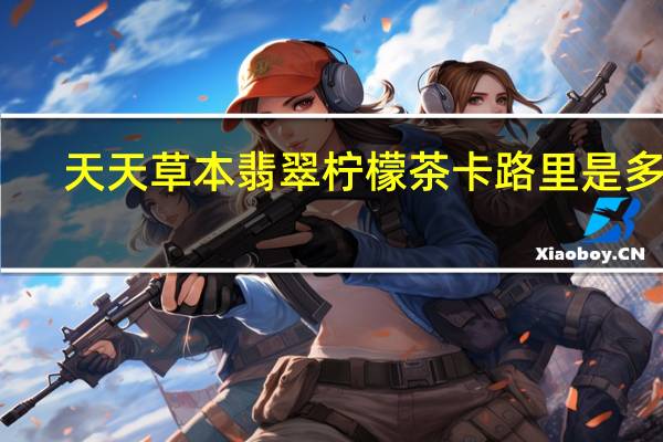 天天草本 翡翠柠檬茶卡路里是多少