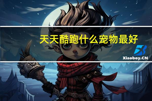 天天酷跑什么宠物最好