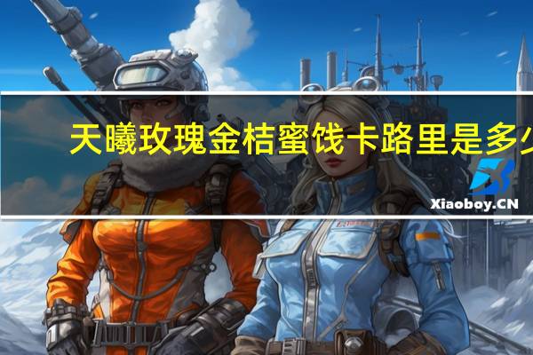 天曦 玫瑰金桔蜜饯卡路里是多少