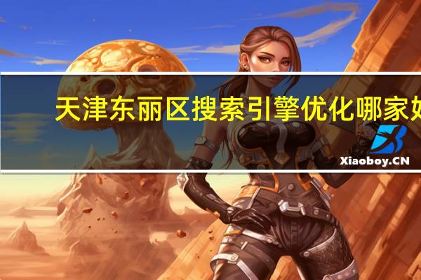 天津东丽区搜索引擎优化哪家好