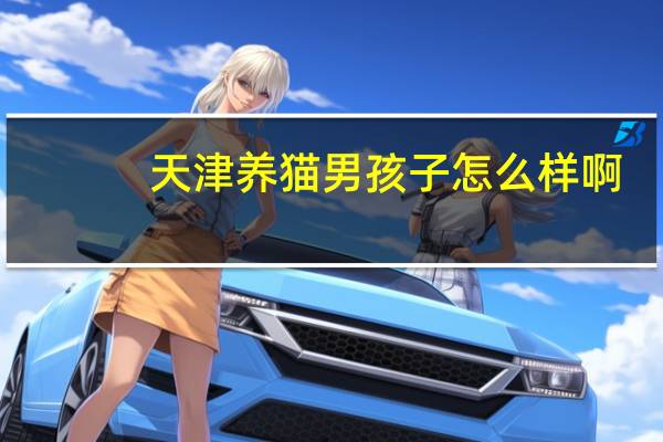 天津养猫男孩子怎么样啊