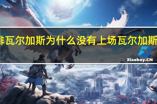 天津女排瓦尔加斯为什么没有上场 瓦尔加斯加盟天津女排