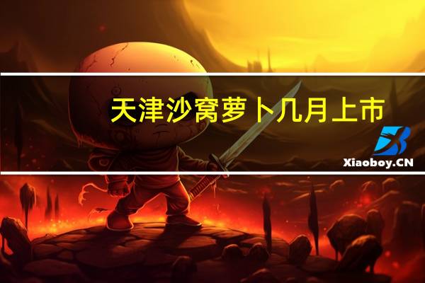 天津沙窝萝卜几月上市