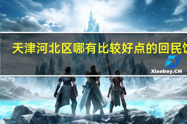 天津河北区哪有比较好点的回民饭馆
