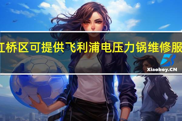 天津红桥区可提供飞利浦电压力锅维修服务地址在哪