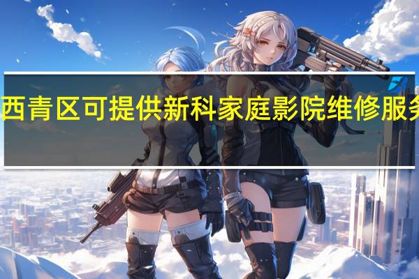 天津西青区可提供新科家庭影院维修服务地址在哪