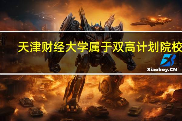 天津财经大学属于双高计划院校吗