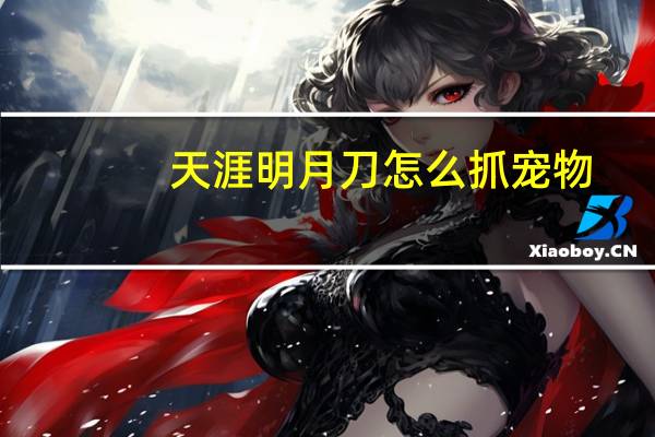 天涯明月刀怎么抓宠物