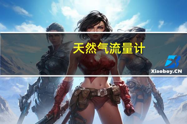 天然气流量计（关于天然气流量计的介绍）