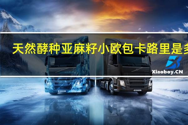 天然酵种亚麻籽小欧包卡路里是多少