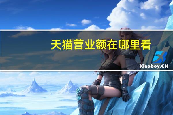 天猫营业额在哪里看（天猫营业额哪里看）