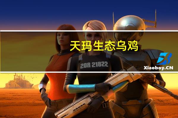 天玛生态 乌鸡(带汤料包)的热量是多少