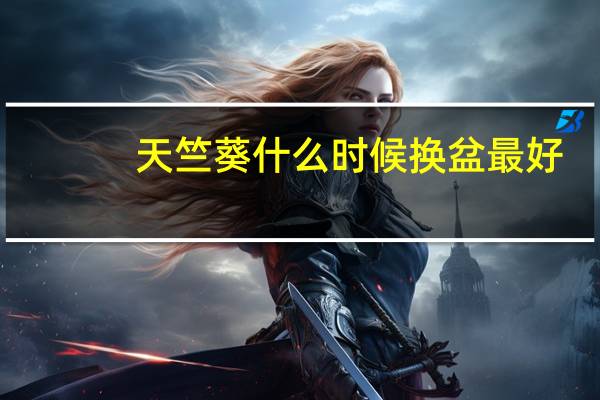 天竺葵什么时候换盆最好