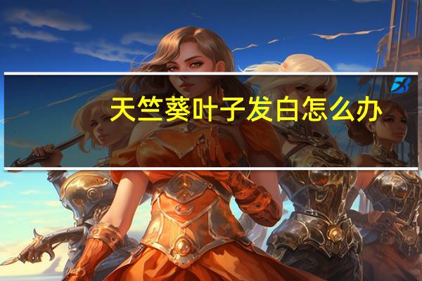天竺葵叶子发白怎么办