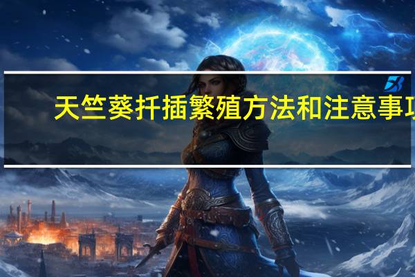 天竺葵扦插繁殖方法和注意事项