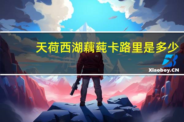 天荷 西湖藕莼卡路里是多少