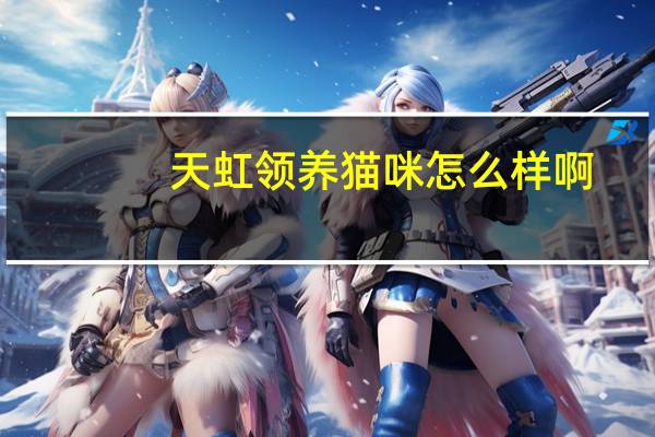 天虹领养猫咪怎么样啊