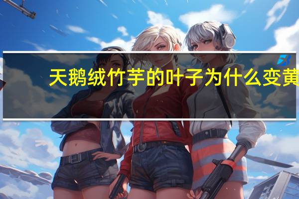 天鹅绒竹芋的叶子为什么变黄