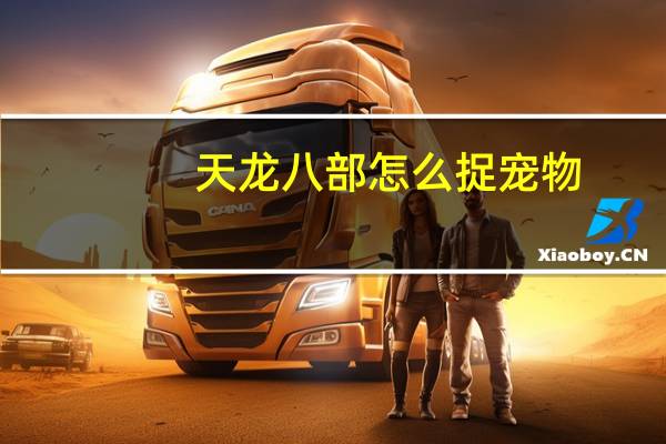 天龙八部怎么捉宠物