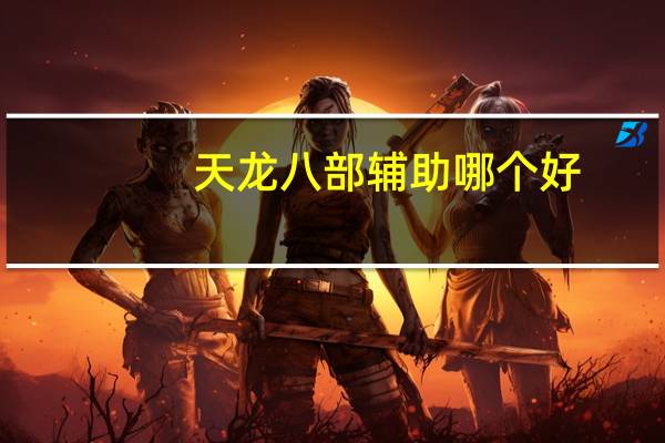 天龙八部辅助哪个好