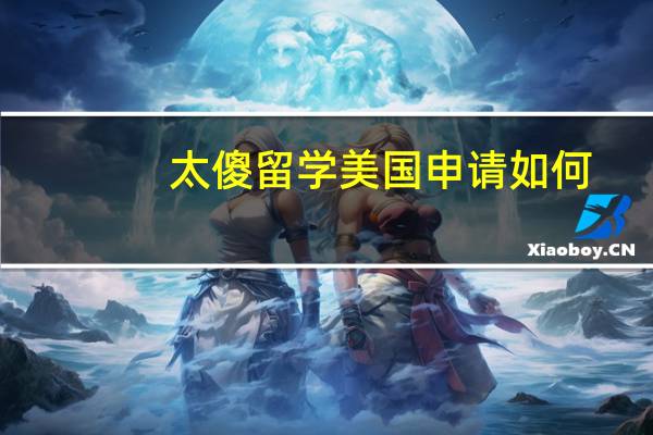 太傻留学美国申请如何