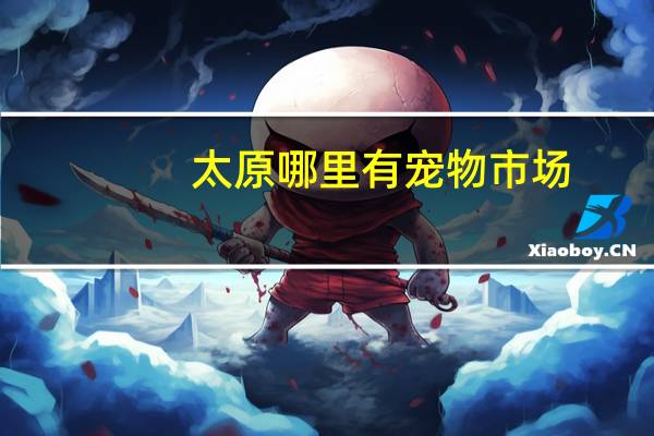 太原哪里有宠物市场