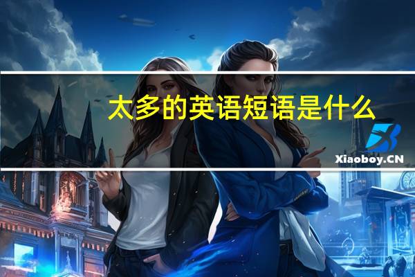 太多的英语短语是什么