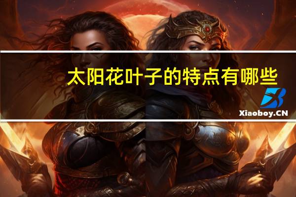 太阳花叶子的特点有哪些