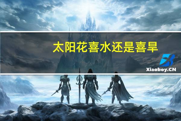 太阳花喜水还是喜旱