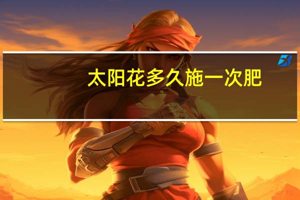 太阳花多久施一次肥