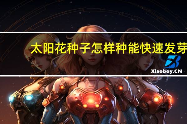 太阳花种子怎样种能快速发芽