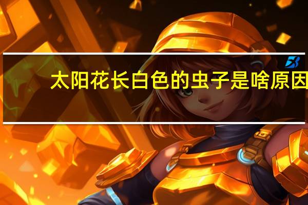 太阳花长白色的虫子是啥原因