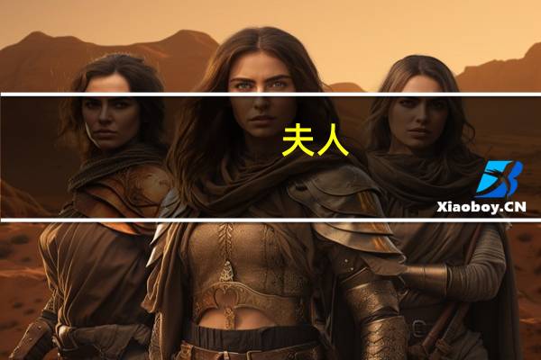 夫人
