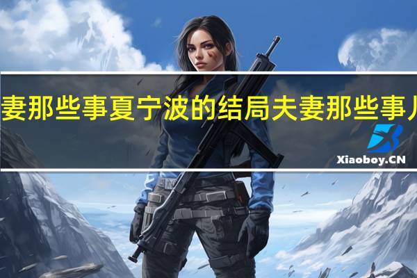 夫妻那些事夏宁波的结局 夫妻那些事儿电视剧