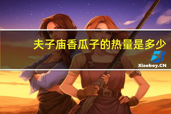 夫子庙 香瓜子的热量是多少