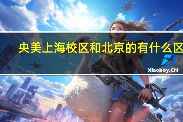 央美上海校区和北京的有什么区别