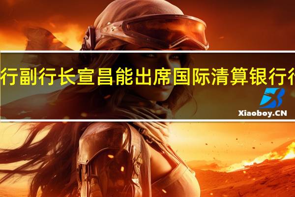 央行副行长宣昌能出席国际清算银行行长例会
