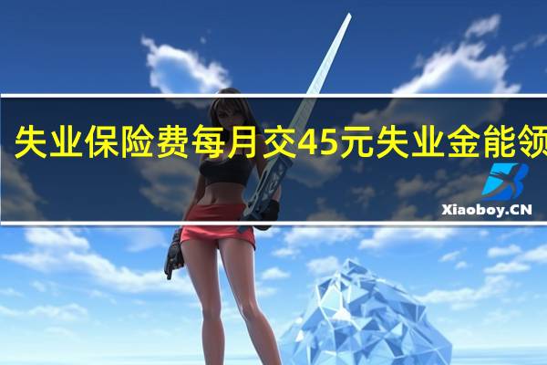 失业保险费每月交45元失业金能领多少