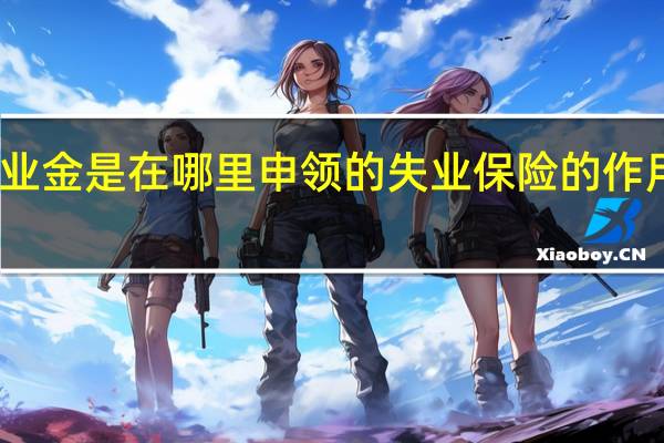 失业金是在哪里申领的　失业保险的作用有哪些