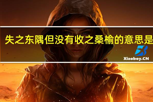 失之东隅但没有收之桑榆的意思是什么