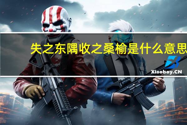 失之东隅收之桑榆是什么意思