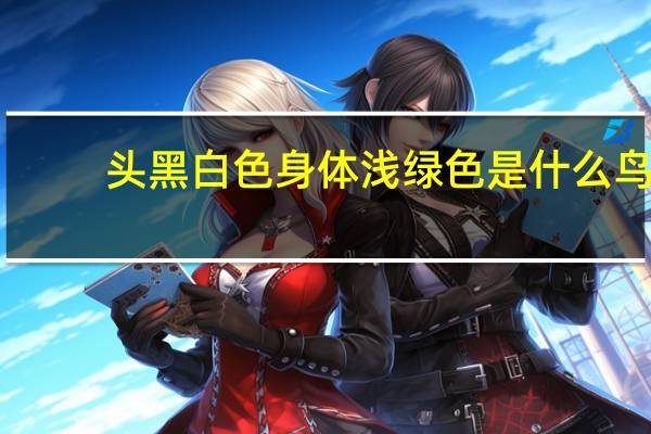 头黑白色身体浅绿色是什么鸟