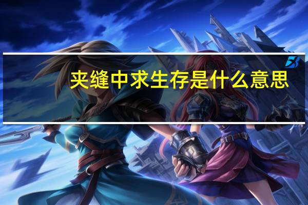 夹缝中求生存是什么意思