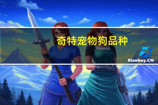 奇特宠物狗品种
