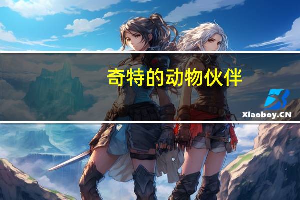 奇特的動物伙伴（奇特的動物）