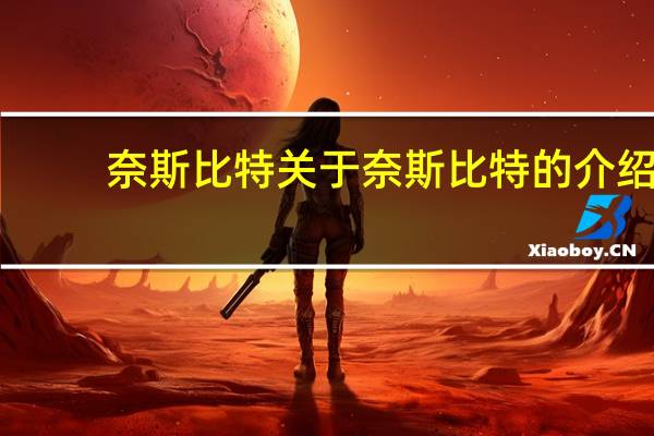 奈斯比特 关于奈斯比特的介绍